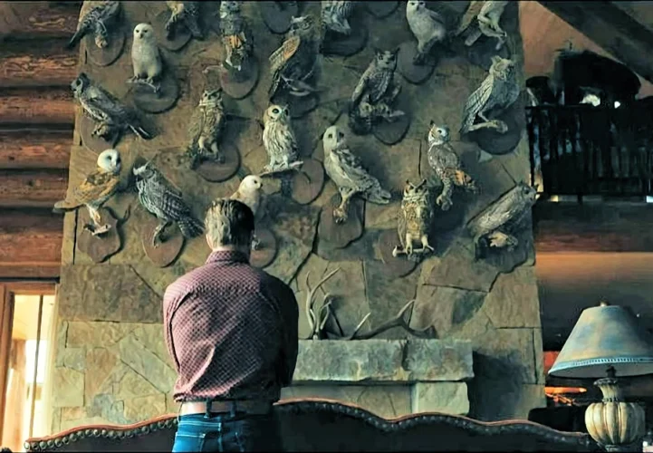 The owls - Outer Range