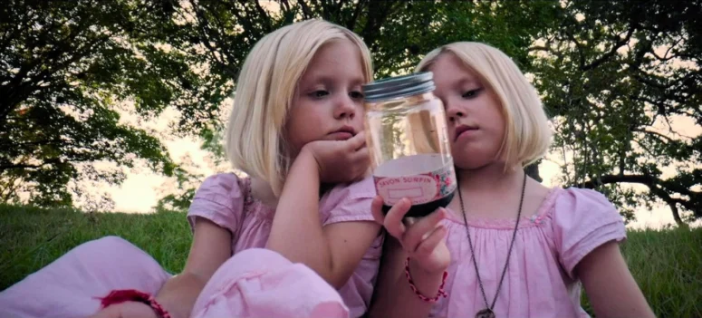 Josie Fink and Lillie Fink - The Blazing World