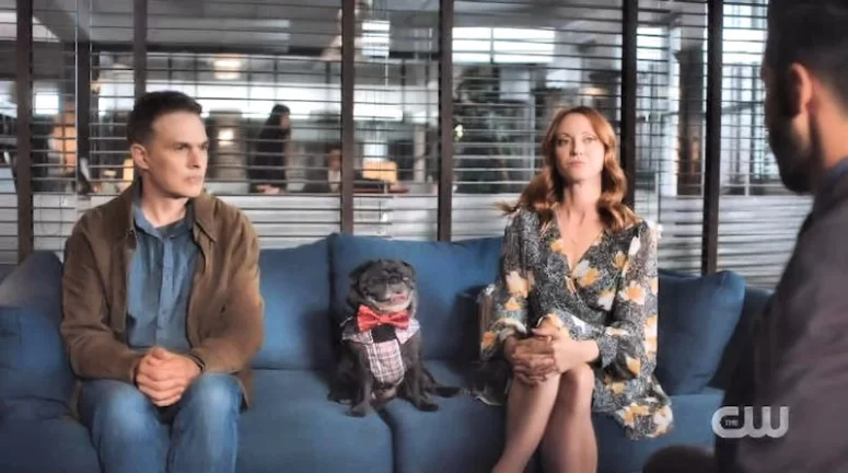 Fred Ewanuick as Kyle and Fiona Vroom as Parker with Craig the Pug - Family Law 103