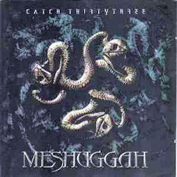 Catch Thirty-Three by Meshuggah