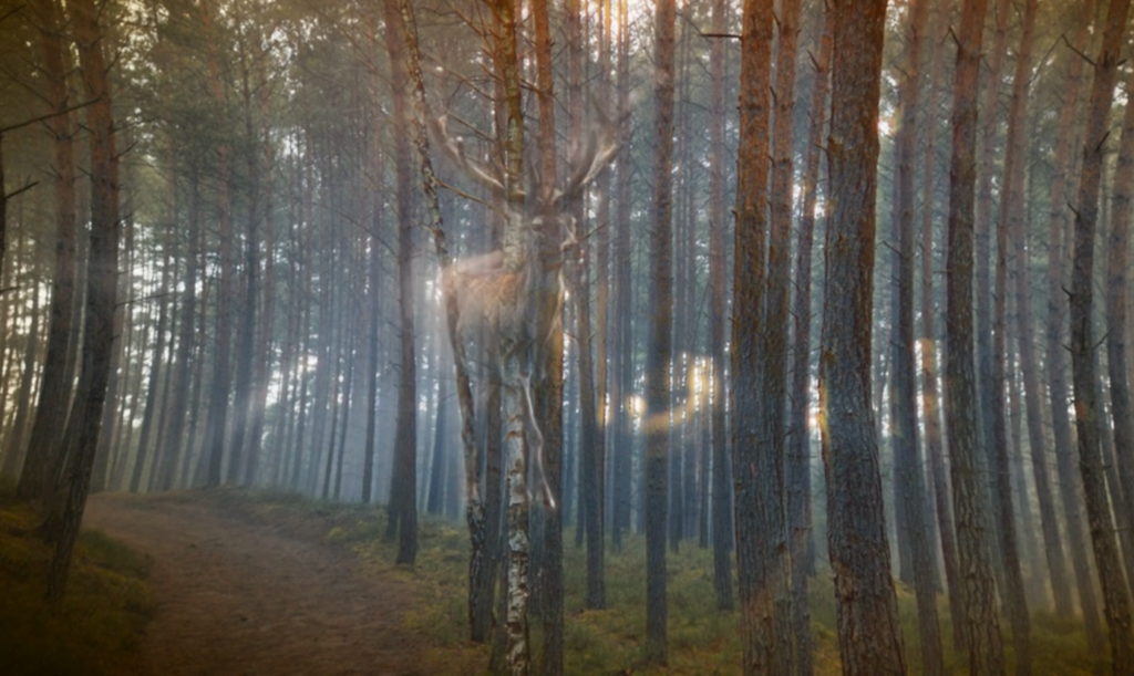 Perrin's vision of a buck sent to him by his fellow wolves while he is awake.