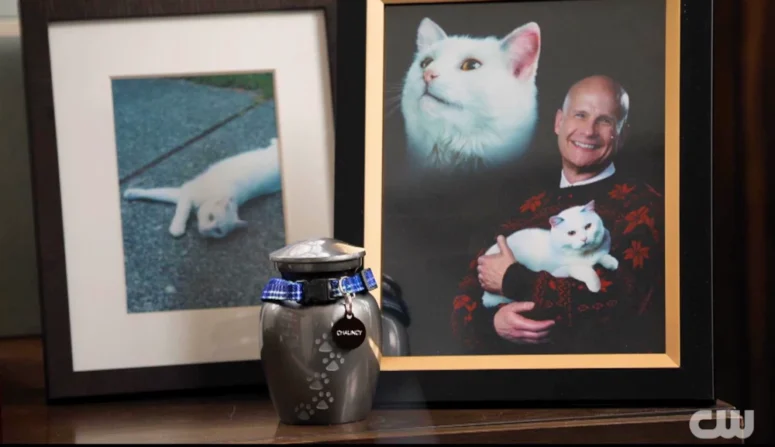 Memorial to bank manager's late cate Chauncey - Wild Cards