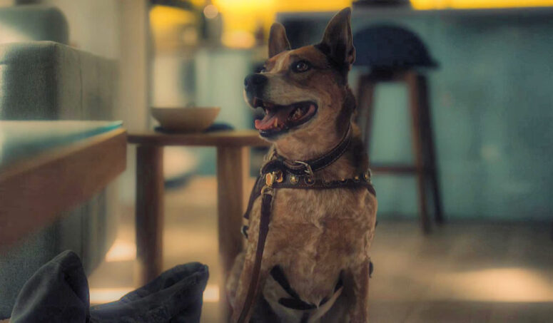 Brass the Dog - Sight Unseen