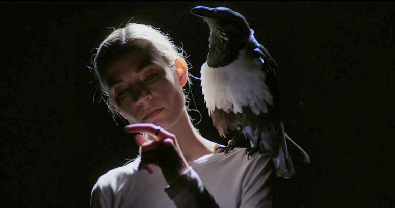 Sheila (Kathleen Munroe) with an African Pied Crow on her shoulder - Birdland