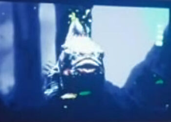 Aquatic monster on television at Mr. Fagerland's house. - Orphan Black: Echoes 103