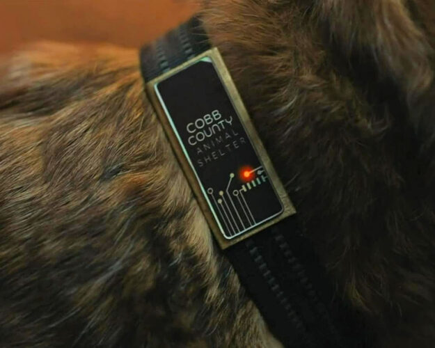 Animal Shelter tracking collar - Orphan Black: Echoes