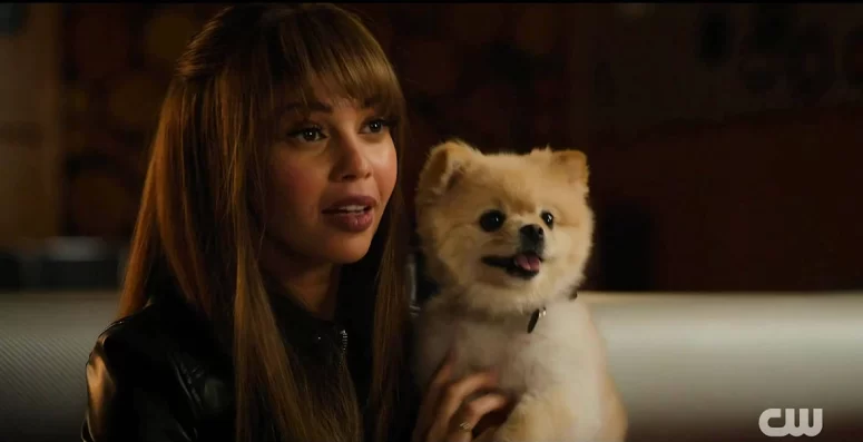 Max and the pomeranian - Vanessa Morgan - Wild Cards