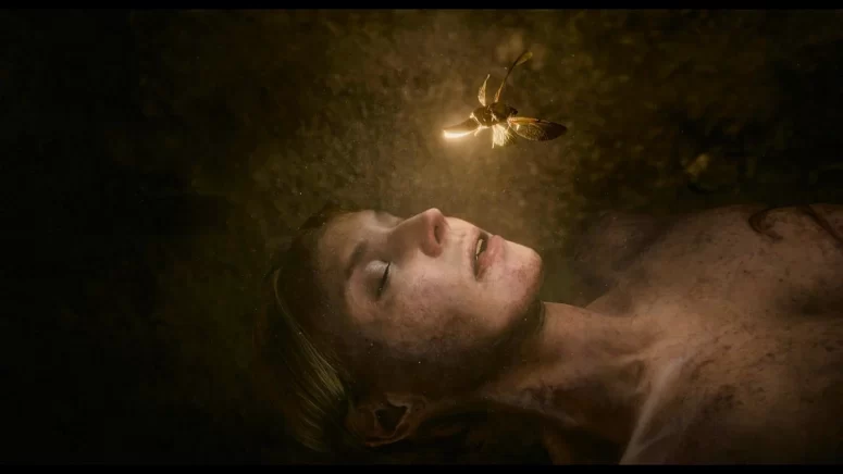 A firefly-like camera is used to transmit images from inside the shroud