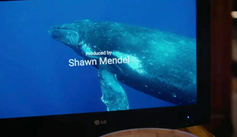 Shawn Mendel is credited as the producer of the whale documentary Jessica and Cole watch. Mendel has not produced any whale documentaries, but he is a supervising producer for Wild Cards