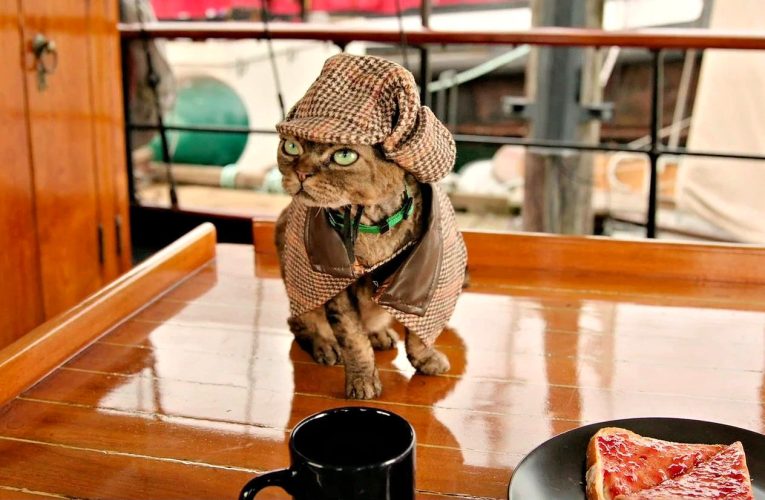 Marc (Jonesy the Cat) in Holmsian garb - Wild Cards 306