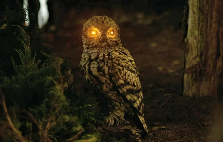 The owl (probably decorative) with glowing eyes that startles Max as she sits outside the motel - Wild Cards 306