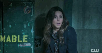 Christina Rosato as Veronica Dreskin - Wild Cards 308