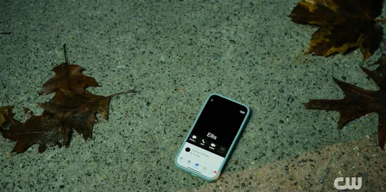 After she is abducted, Max's phone remains behind on the pavement among the fallen leaves. It is clearly autumn. - Wild Cards 309