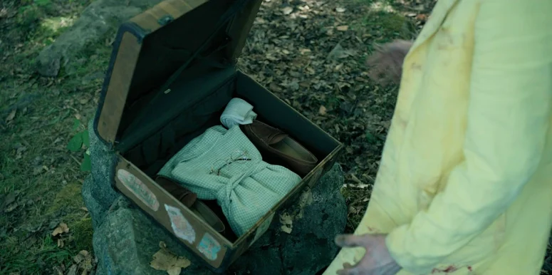 The valise with the Man in Yellow's change of clothes - From 401