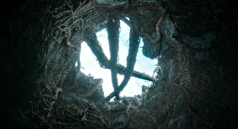 Root-covered hole in the ceiling of the chamber where Jade saw the seven children lying on slabs - From 210