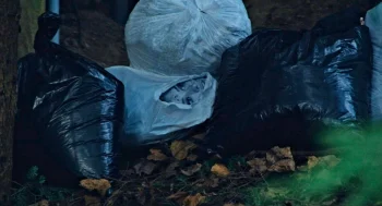The (possibly imagined) severed head in Darren's trash - Keeper