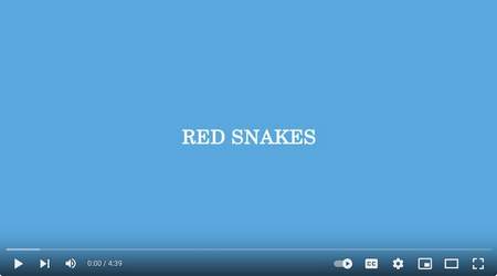 Red Snakes - Lump - official audio - thumbnail