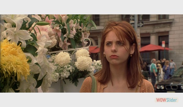 Sarah Michelle Gellar in Simply Irresistible-1