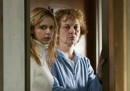 Sarah Michelle Gellar - The Grudge