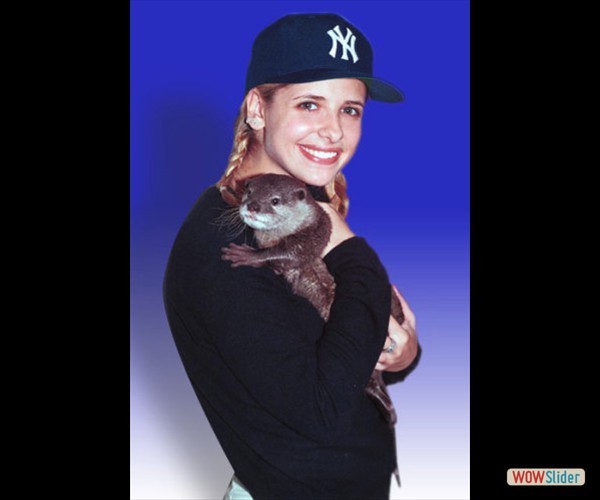 sarah-michelle-gellar- (20)