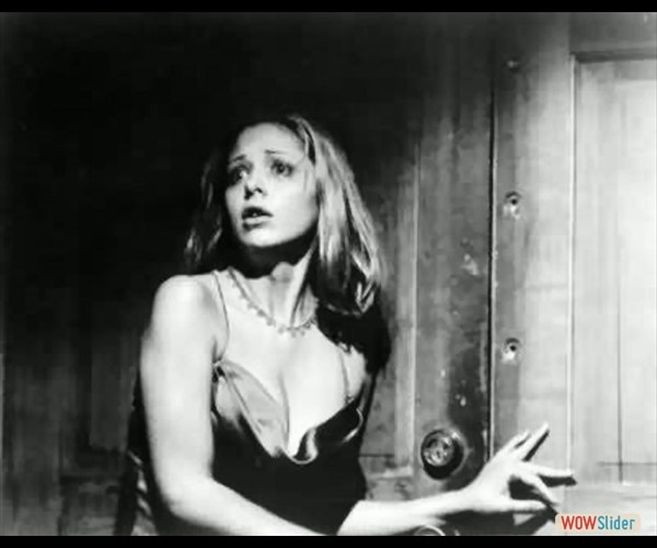 sarah-michelle-gellar- (21)