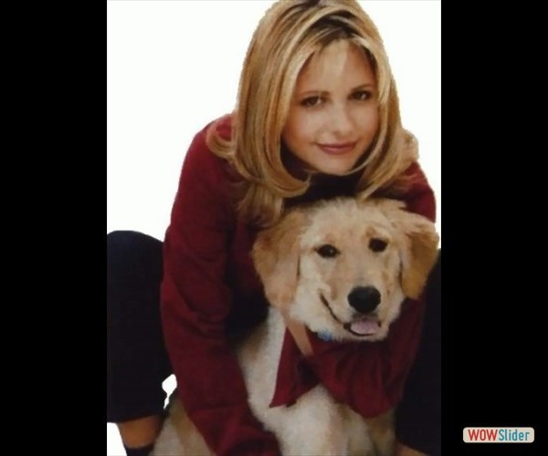 sarah-michelle-gellar- (22)