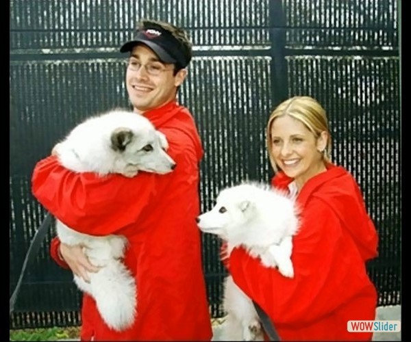 sarah-michelle-gellar- (6)