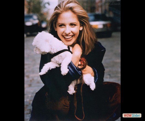 sarah-michelle-gellar- (7)