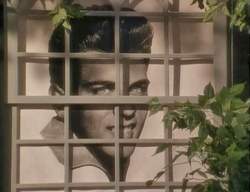 The Fabian Shade - Swans Crossing